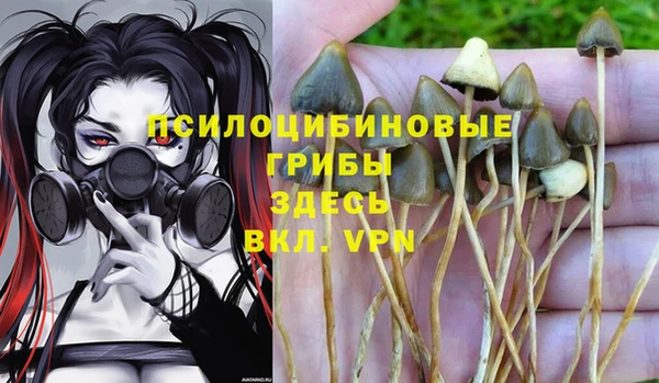 ALPHA PVP Мегион