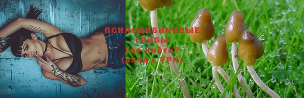 MDMA Premium VHQ Медвежьегорск
