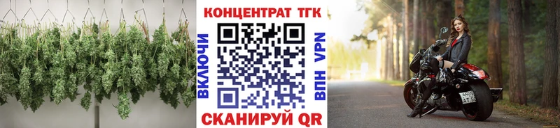 ТГК концентрат  Купить где  Луза 