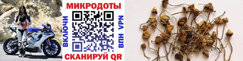 Галлюциногенные грибы мицелий  Купить где  Луза 