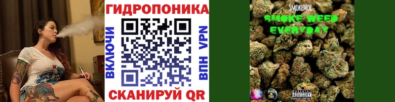 МАРИХУАНА OG Kush  Купить где  Луза 